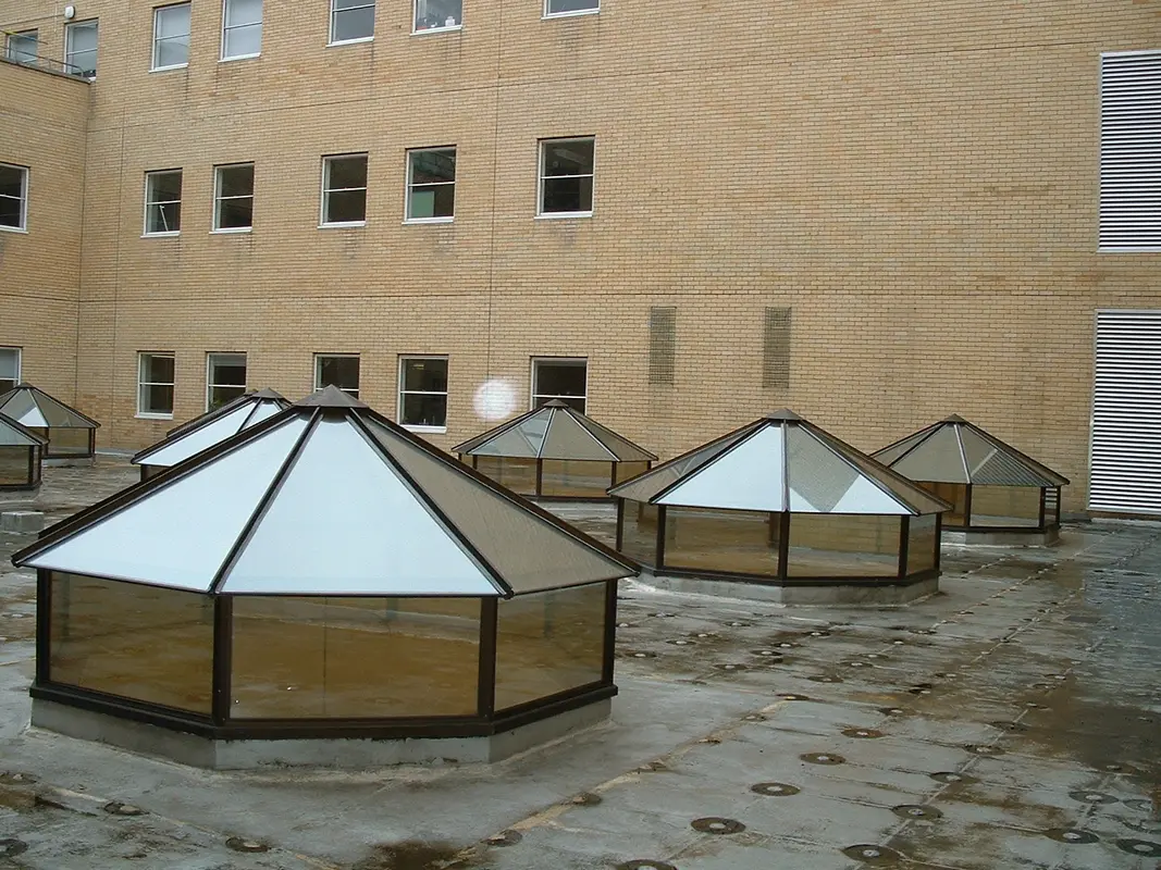 Flat Roof Skylights Stamford Hill